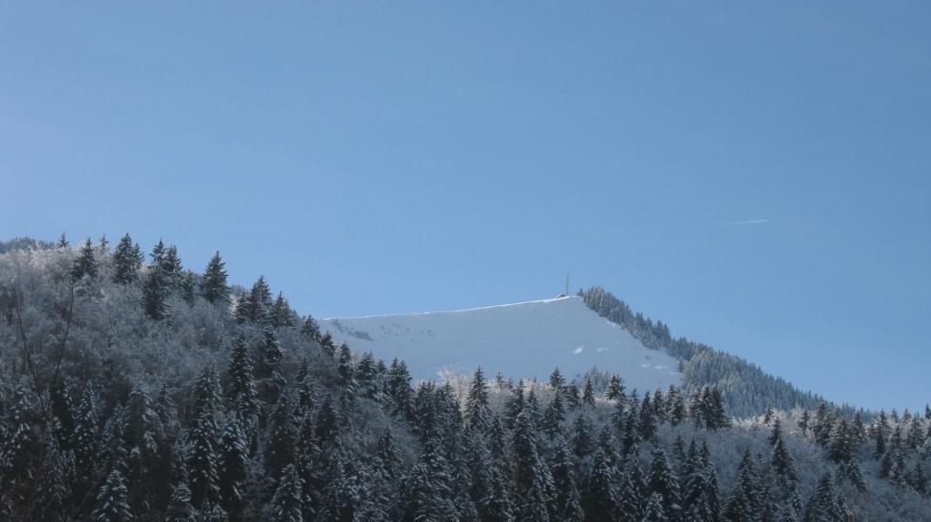Hotel Le Mont Jorat Abondance Exteriör bild